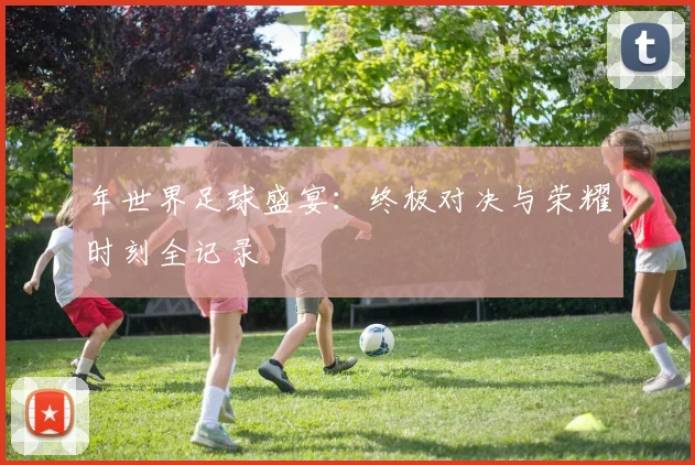 年世界足球盛宴:终极对决与荣耀时刻全记录