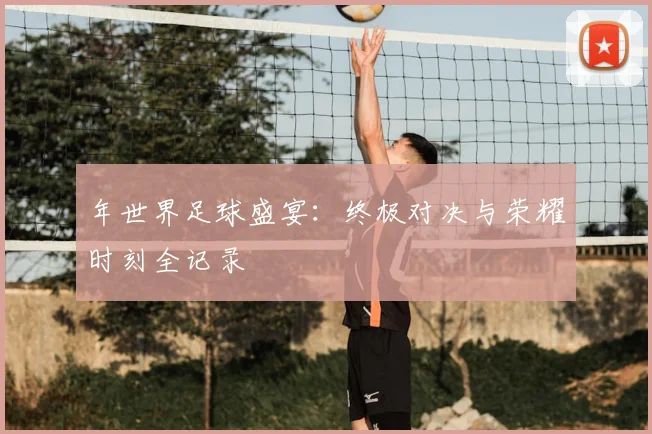 年世界足球盛宴：终极对决与荣耀时刻全记录
